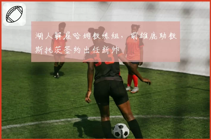 湖人解雇哈姆教练组，前雄鹿助教斯托茨签约出任新帅