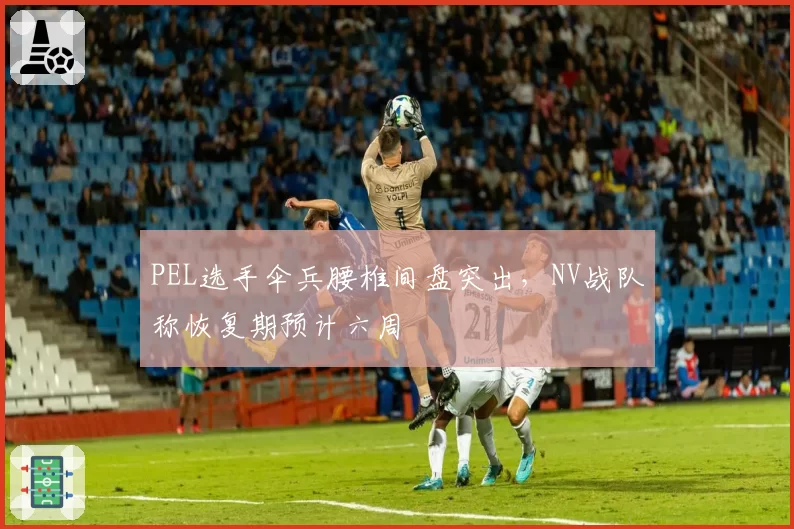 PEL选手伞兵腰椎间盘突出，NV战队称恢复期预计六周