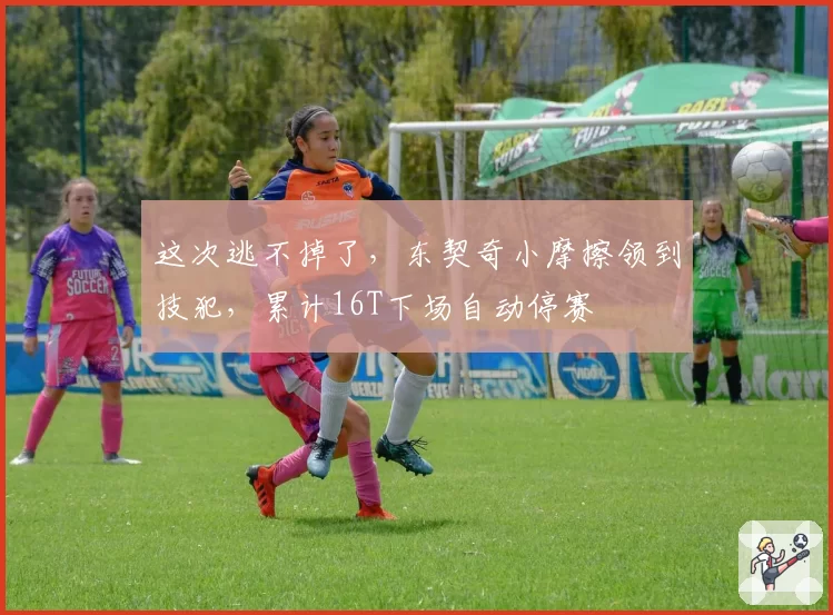 这次逃不掉了，东契奇小摩擦领到技犯，累计16T下场自动停赛